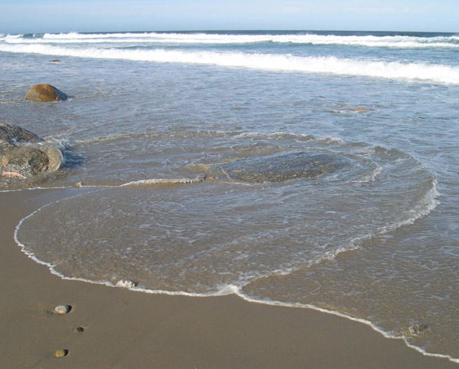 Water Rings, photo by Lisa Hoag