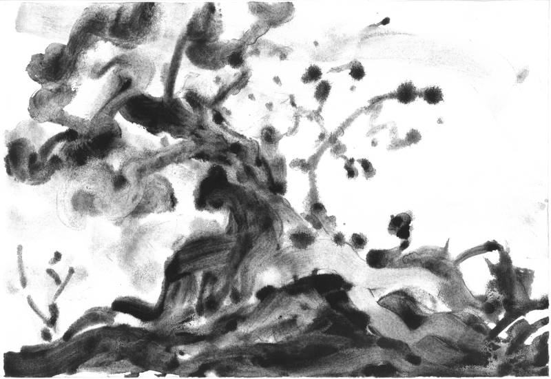 Tree Landscape - watercolor on paper Tree Landscape - - 1983: 11.6"h x 17"w, ink on paper.