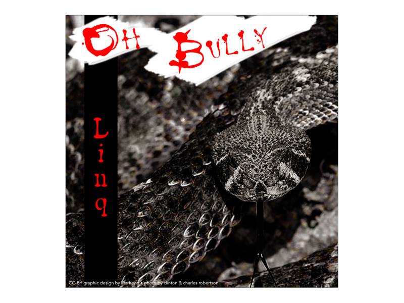 Oh Bully CD Cover