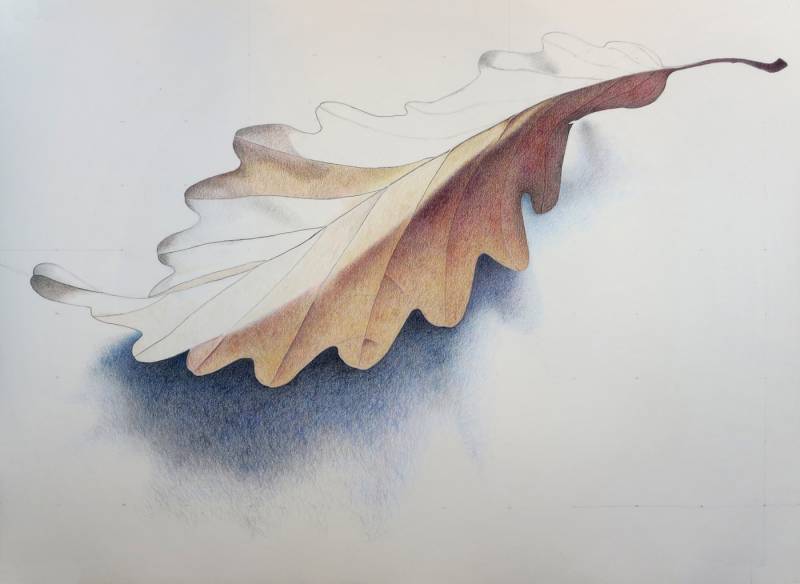 Oak Leaf - work in progress
