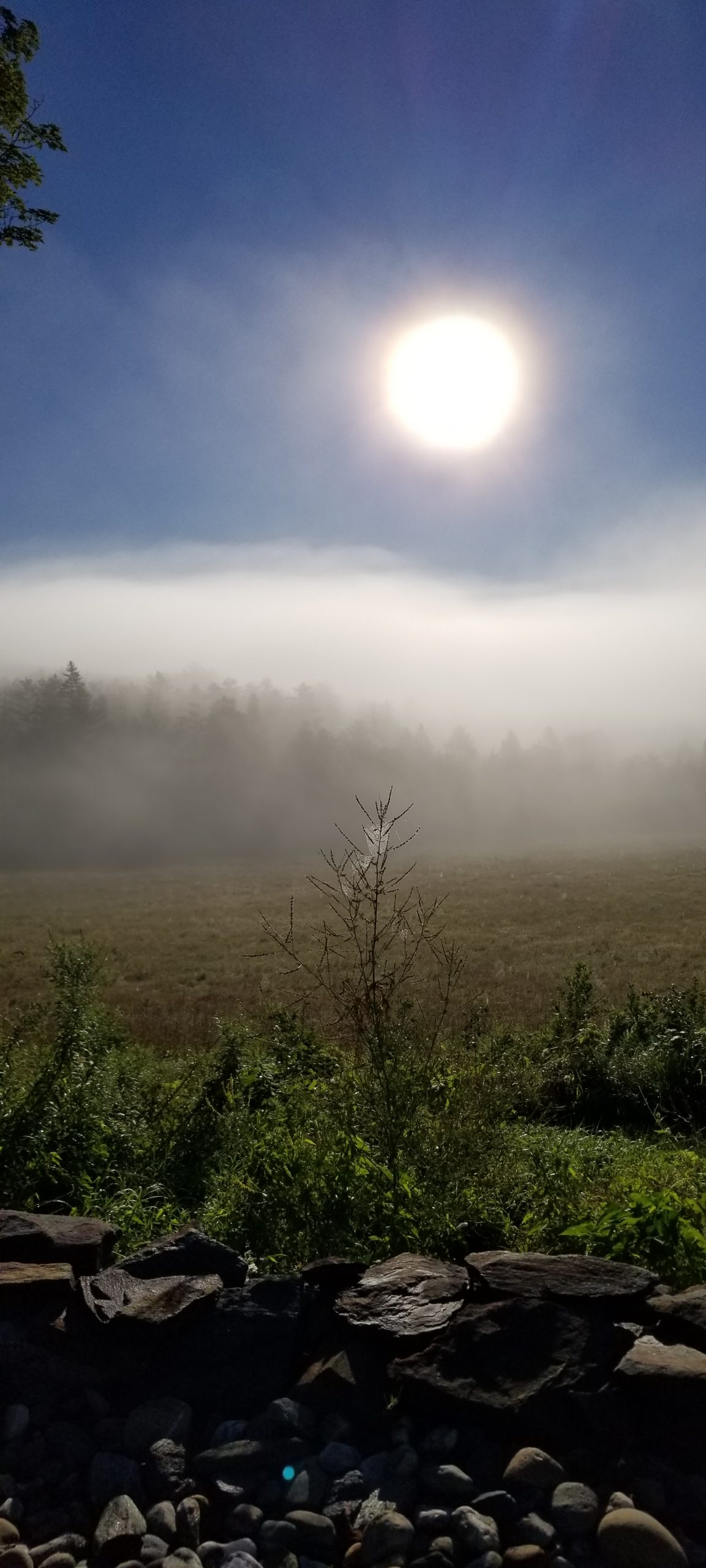 Mist, August 3rd, 2022, 7:30AM, Marshfield, VT, photograph by Lisa Hoag.