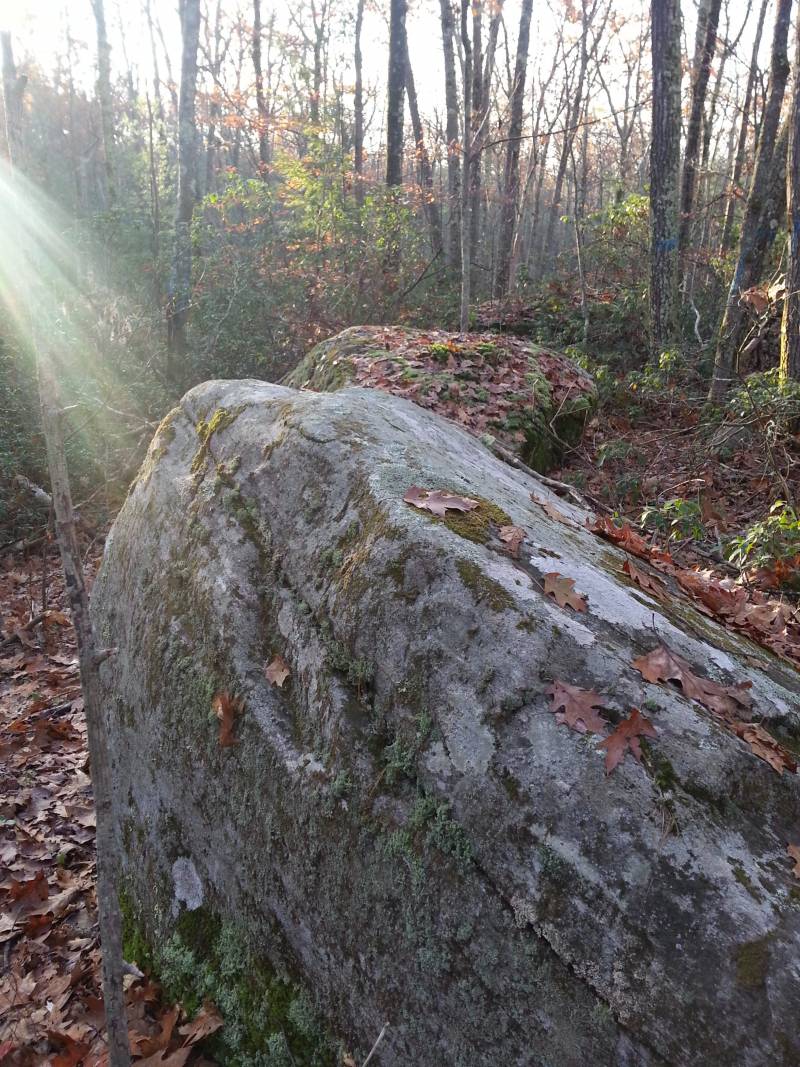 In the Sacred Forest: Stones are Our Grandfathers, 11-723/2017